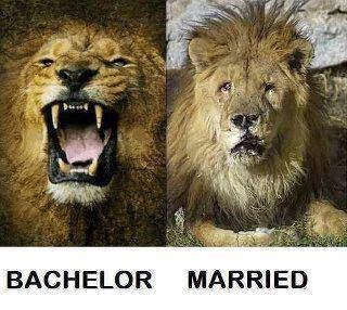 Image result for before and after marriage meme
